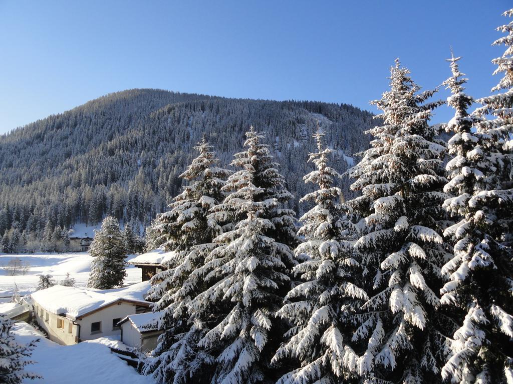 Studio Riedwiese Davos Værelse billede